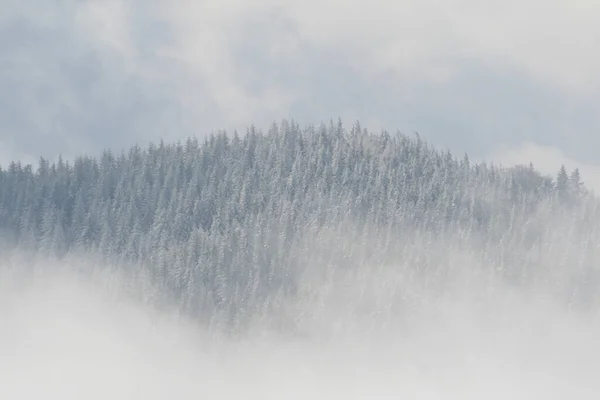 Χειμώνας Στις Άλπεις — Φωτογραφία Αρχείου