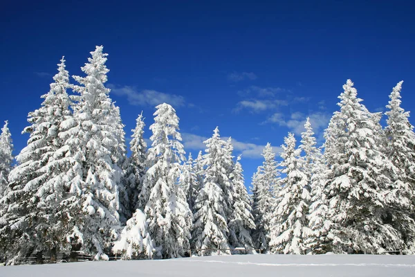 Inverno Nos Alpes — Fotografia de Stock