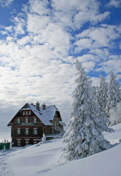 Inverno Nos Alpes — Fotografia de Stock