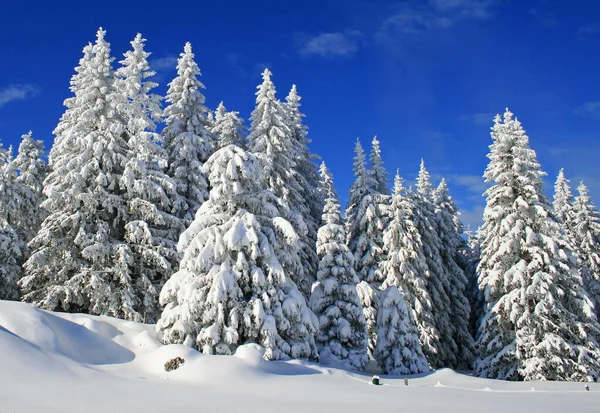 Inverno Nos Alpes — Fotografia de Stock