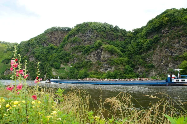 Sucata Navio Mosel Piesport — Fotografia de Stock