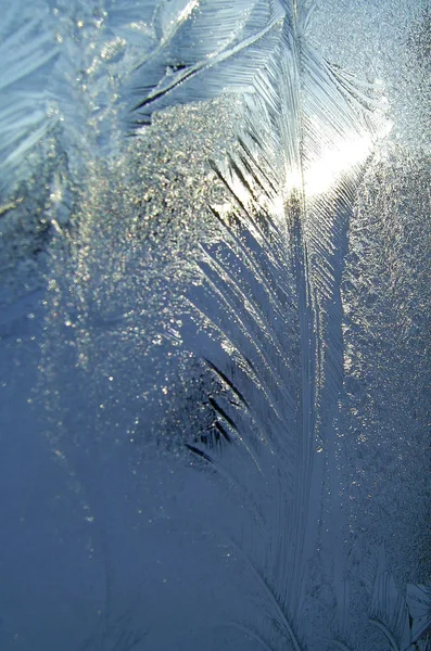 寒冷冬日的冰柱 — 图库照片