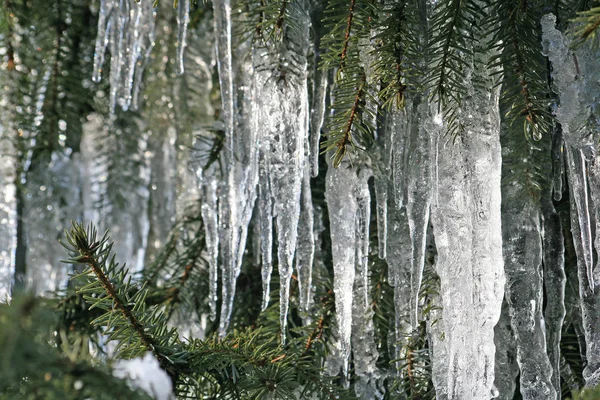 Vista Uma Cena Inverno — Fotografia de Stock