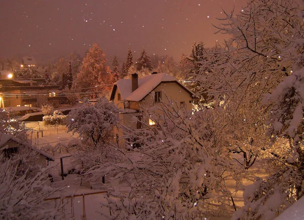 Winterlandschap Met Besneeuwde Bomen — Stockfoto