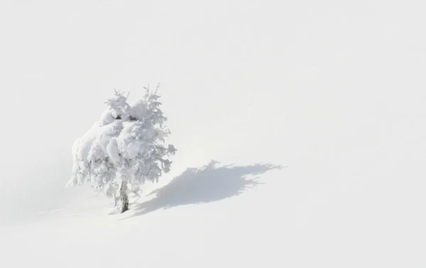 Bella Vista Del Paesaggio Naturale — Foto Stock