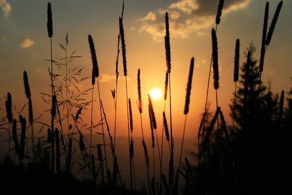 Bela Vista Céu Por Sol — Fotografia de Stock