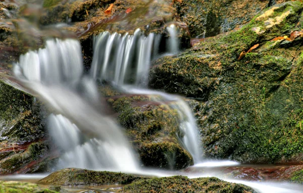 Automne Sur Rivière — Photo