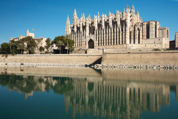 Catedral Palma Mallorca Islas Baleares Espino — Foto de Stock