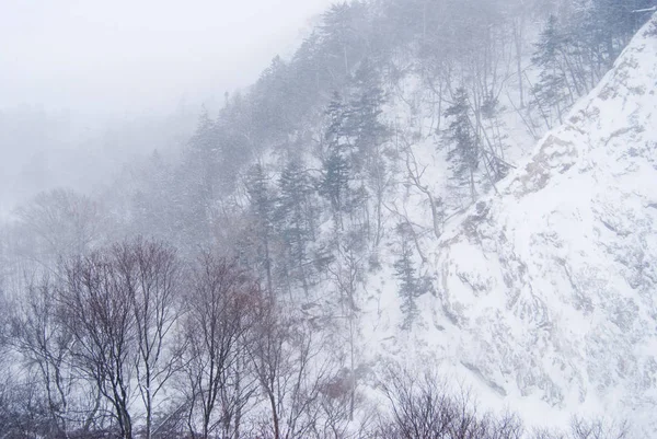 Montagne Alberi Calvi Coperti Neve — Foto Stock