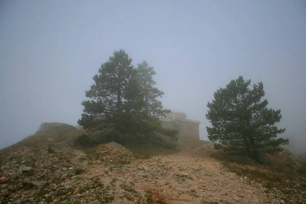 Hermoso Paisaje Del Bosque — Foto de Stock