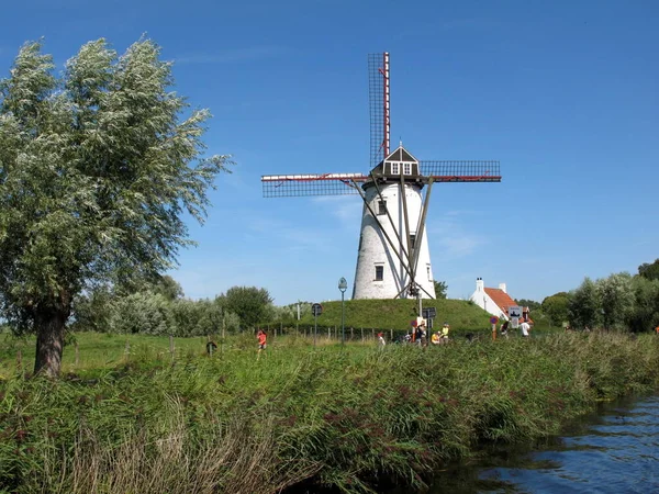 Längs Kanalen Blåmärken Till Damme Flandrar — Stockfoto