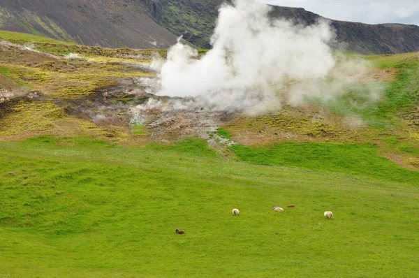 アイスランドの地熱活動地域です — ストック写真