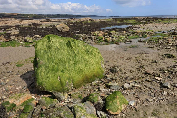 Wadden Sea Cornwall — Stock Photo, Image