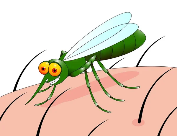 Ilustración Dibujos Animados Mosquitos — Foto de Stock