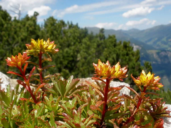 Lapide Montagna — Foto Stock