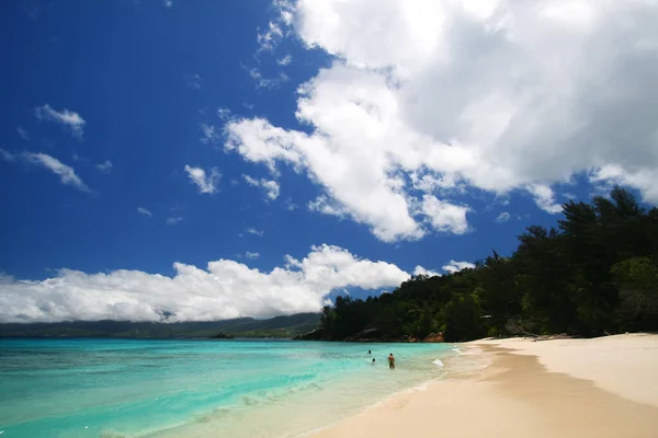 Tropická Pláž Seychelách Indickém Oceánu — Stock fotografie
