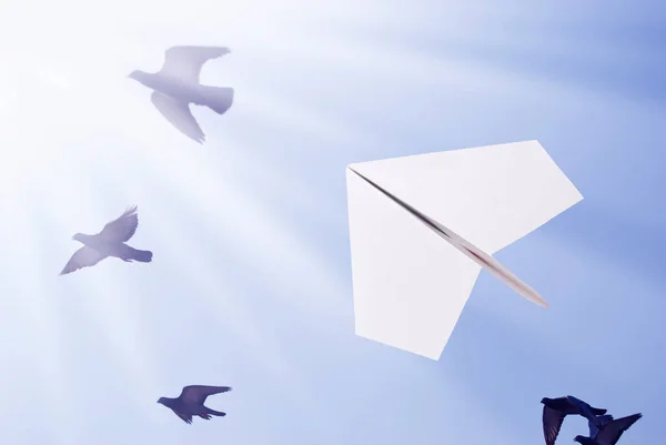 纸飞机载着鸟儿向太阳飞去 — 图库照片