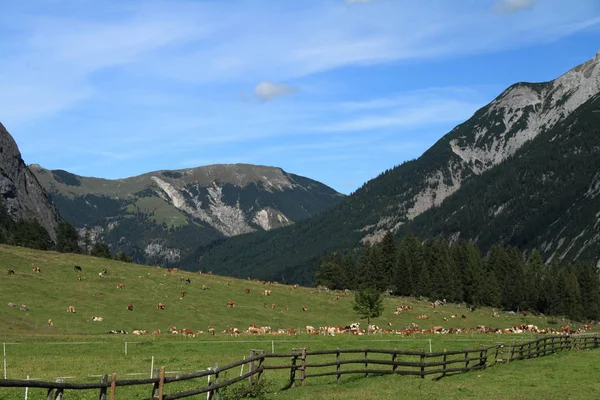 Naturskön Utsikt Över Landsbygden Selektivt Fokus — Stockfoto