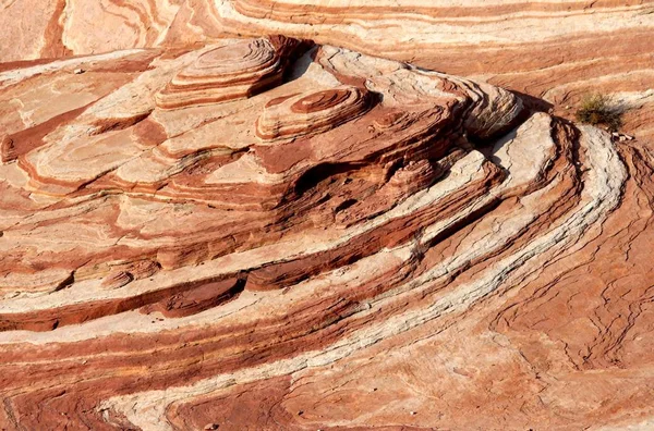 Bryce Canyon Ulusal Parkı Ndaki Kumtaşı Oluşumları Utah Abd — Stok fotoğraf