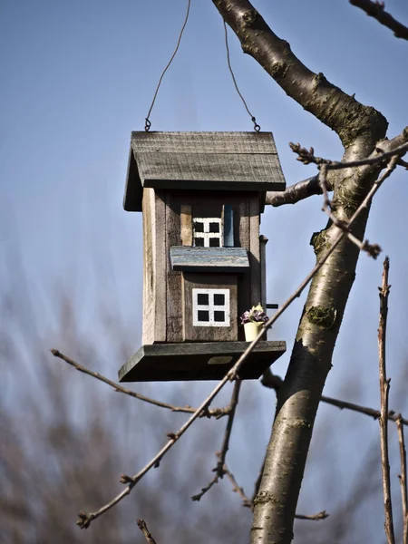 Maison Oiseau Avec Deux Fenêtres Dans Jardin — Photo