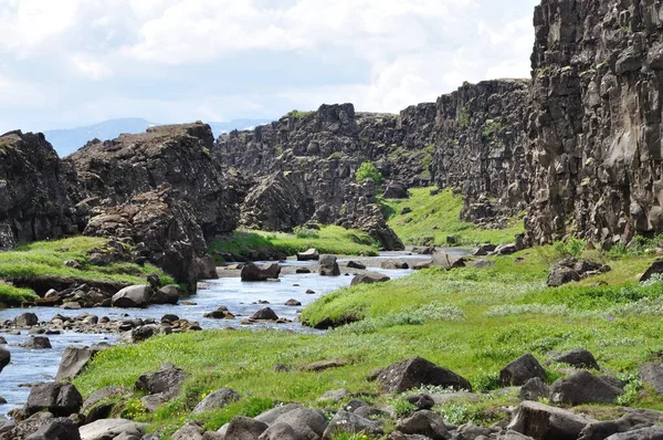 Güzel Yeşil Doğa Parkı — Stok fotoğraf