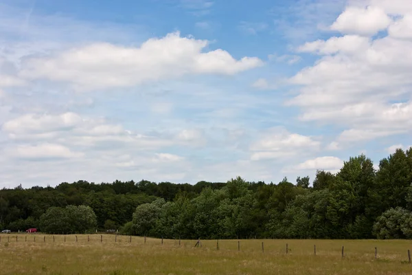 Malerischer Blick Auf Die Natur — Stockfoto