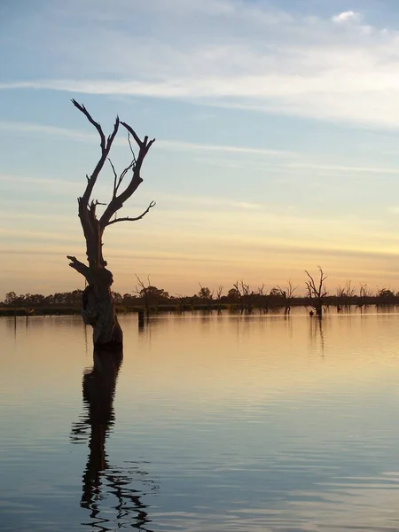 River Murray Sunset Természet Táj Háttér — Stock Fotó