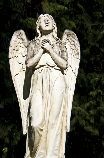 Detalle Una Antigua Lápida Mármol Antiguo Cementerio Bonn — Foto de Stock