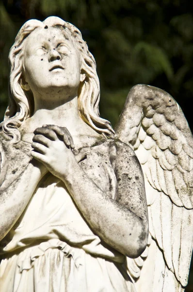 Detalle Una Antigua Lápida Mármol Antiguo Cementerio Bonn — Foto de Stock