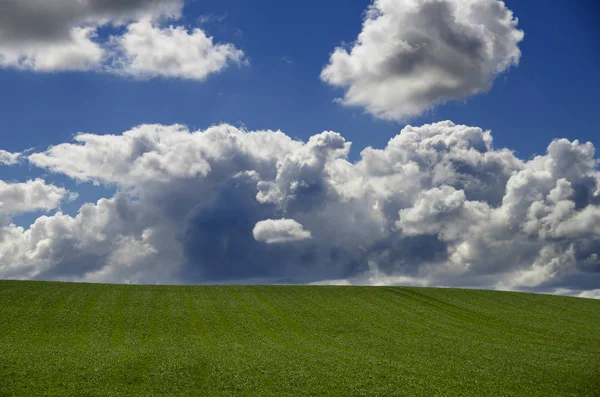 Grönt Fält Vacker Molnig Blå Himmel — Stockfoto