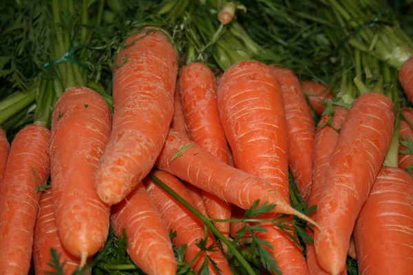 Bunch Carrots — Stock Photo, Image