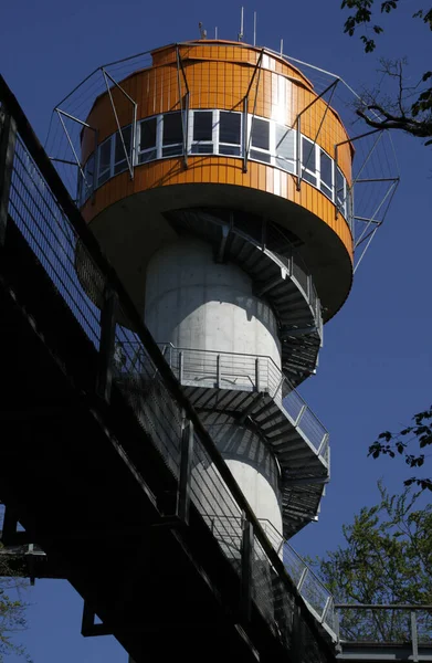 Baumkronenpfad Parque Nacional Hainich — Fotografia de Stock