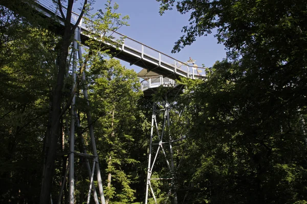 Treetop Path National Park Hainich — Stock Photo, Image