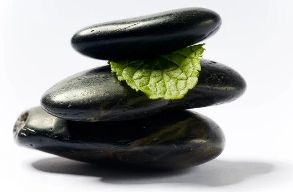 Piedras Spa Negro Con Hoja Verde Equilibrio — Foto de Stock