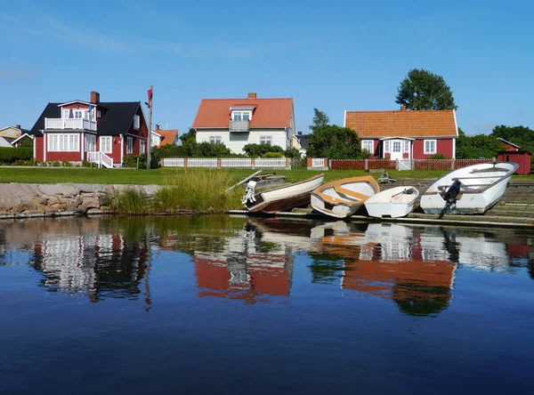 Dolphins Kiel Canal Stock Picture