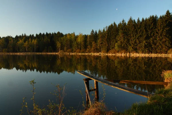 森の中の美しい湖 — ストック写真
