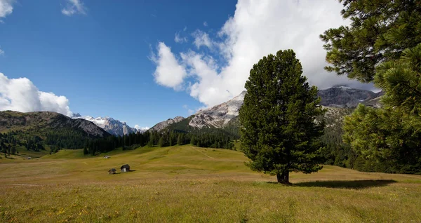 Vista Panoramica Del Maestoso Paesaggio Dolomitico Italia — Foto Stock