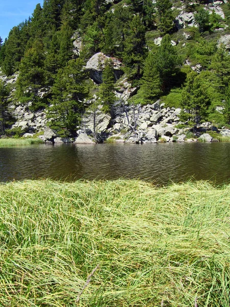 Bella Vista Della Scena Della Natura — Foto Stock