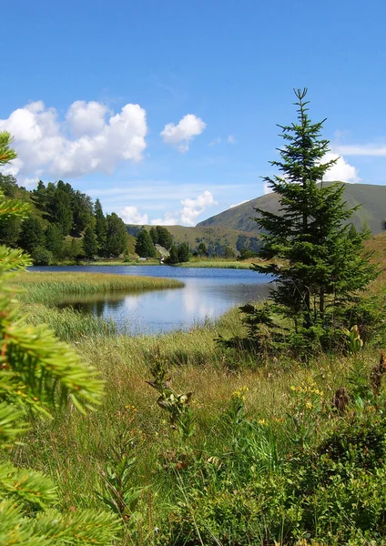 Scenic View Countryside Selective Focus — Stock Photo, Image