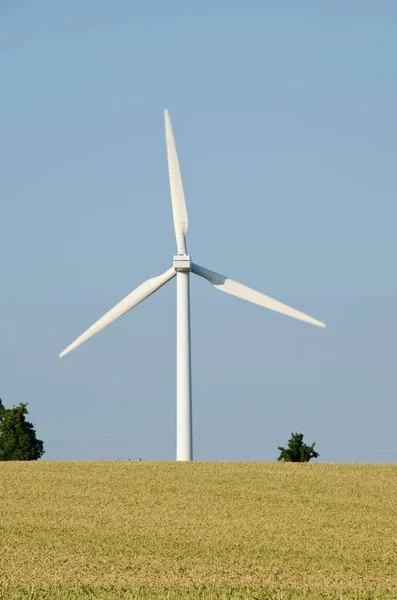 Wind Turbine Seen Blue Sky Wheat Field Foreground — Stock Photo, Image