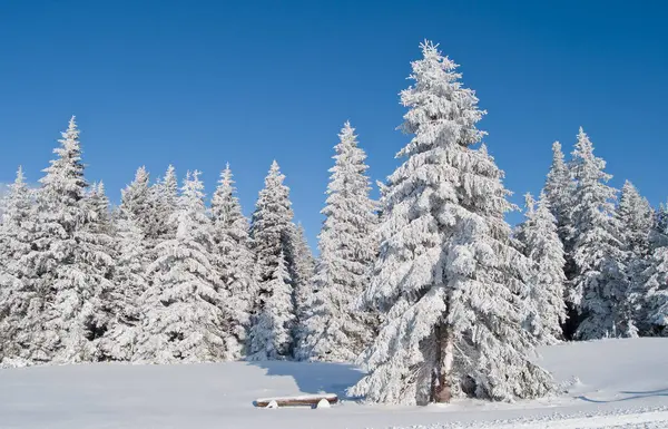 Vue Une Scène Hivernale — Photo