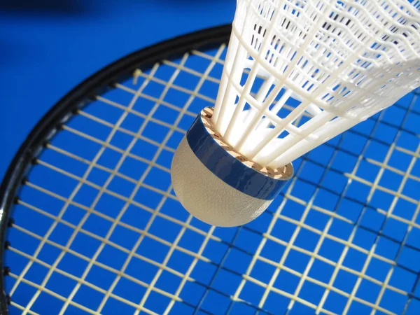 Badminton Ενεργό Παιχνίδι Τον Αθλητισμό — Φωτογραφία Αρχείου