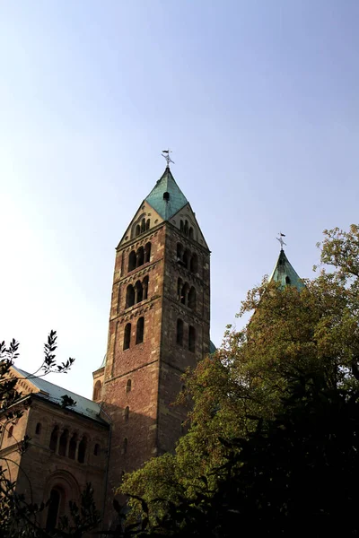 Dom Speyer Rhein — Stockfoto