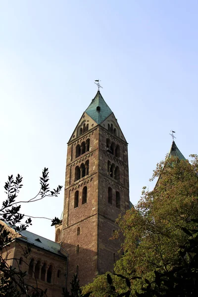 Catedral Speyer Rhein — Fotografia de Stock