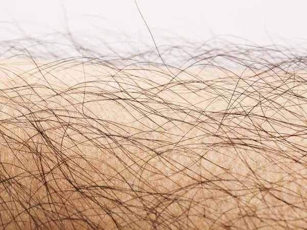 Close Human Body Hair — Stock Photo, Image