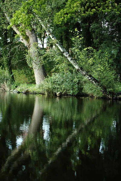 Park Zamkowy Odbiciami Wody — Zdjęcie stockowe