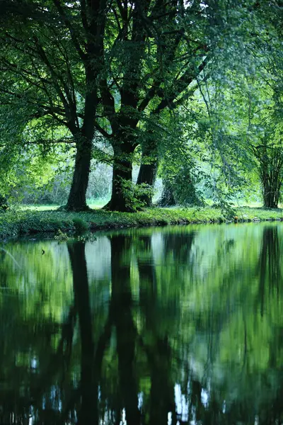 Kasteelpark Met Waterreflecties — Stockfoto