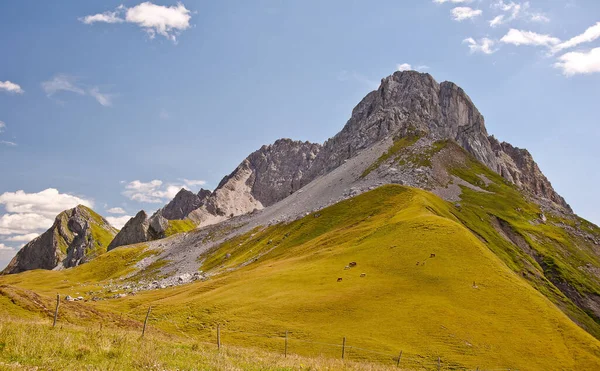 Prados Montanha Auenfeldhorn — Fotografia de Stock