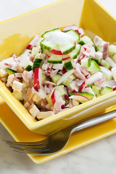 Kippensalade Met Radijs Komkommer — Stockfoto