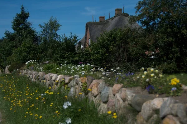 ドイツ アムルム島の庭と茅葺き屋根の民家 — ストック写真